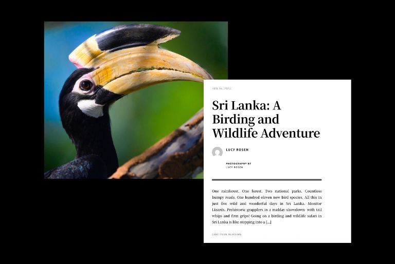 Lucy Rosen featured in Celebrate Bluffton & Beyond - Sri Lanka: A Birding and Wildlife Adventure
